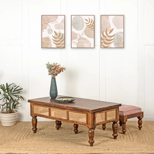 Jiva Coffee Table -  in Jaipur by Woodshilp