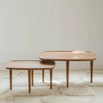 Sora Coffee Table by woodshilp furniture